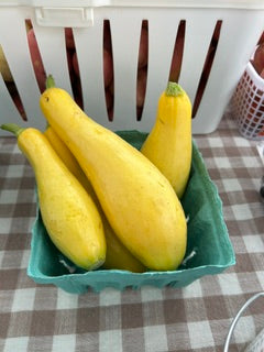 summer squash