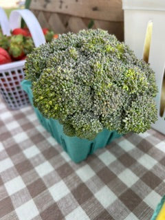 fresh broccoli