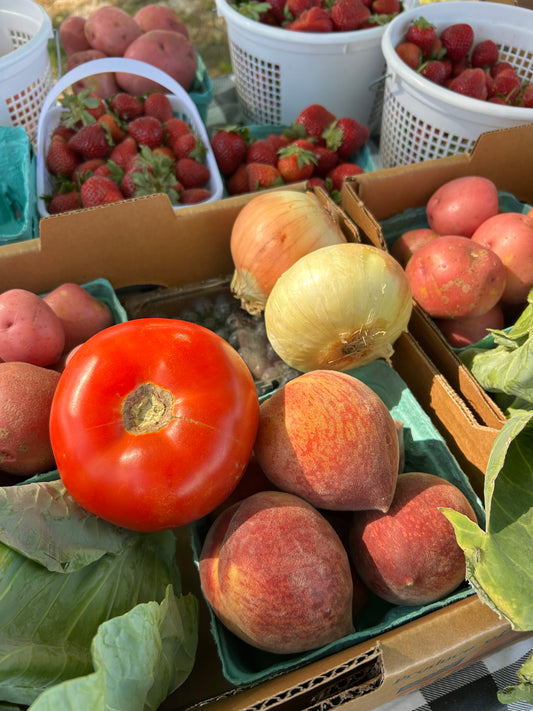 Farm Fresh Tomato