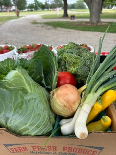 Fresh Veggie Box