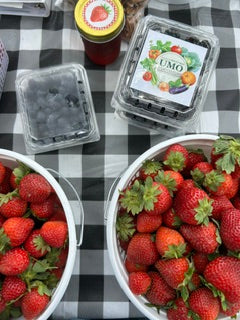 Farm Fresh Fruit Box