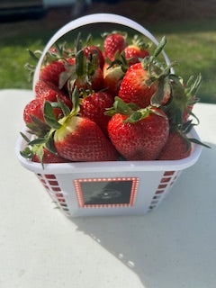 Medium Basket - Farm Fresh Strawberries