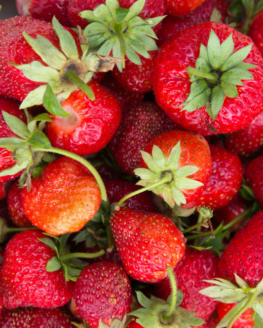 Large Basket - Farm Fresh Strawberries